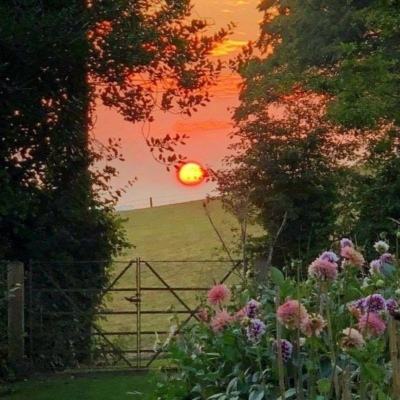 宝威体育官网截图